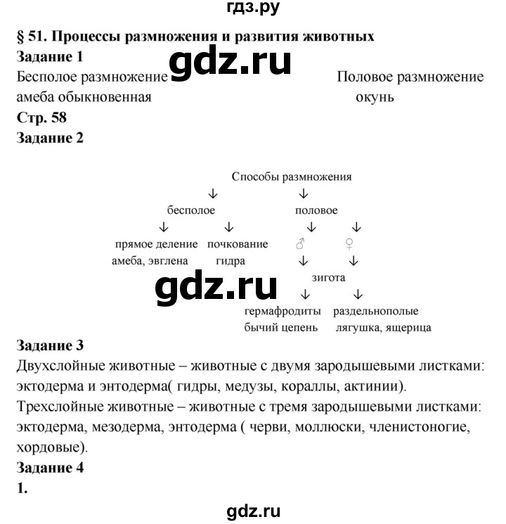 Кракен нар шоп